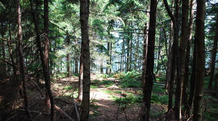 Błędne Skały – Góry Stołowe, Polska