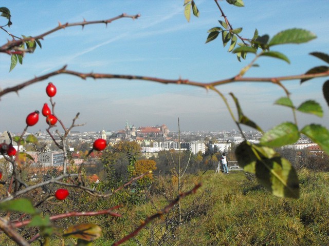 Kraków
