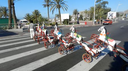 Konie na przejściu – Agadir, Maroko