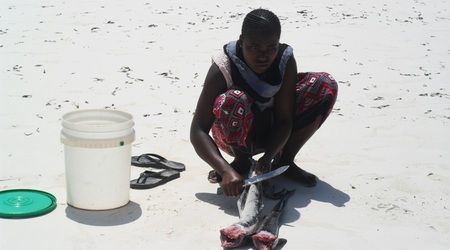 Sam 8517 – Mombasa, Kenia