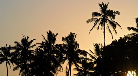 Sam 7852 – Mombasa, Kenia
