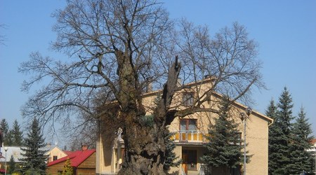 Radomyśl nad Sanem – Polska