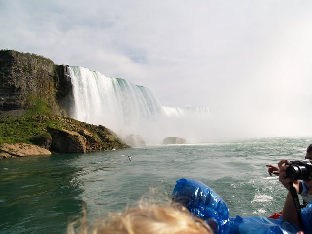 Horseshoe Falls
