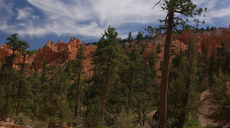 Bryce Canyon – Stany Zjednoczone Ameryki