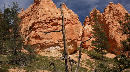 Spacer po Bryce Canyon – Stany Zjednoczone Ameryki
