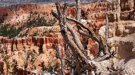 Bryce Canyon – Stany Zjednoczone Ameryki