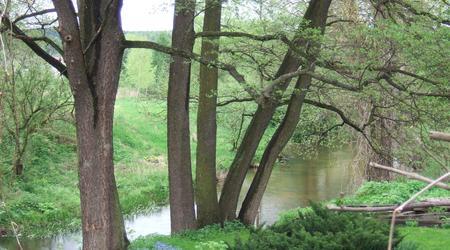 Zwierzyniec – Roztocze, Polska