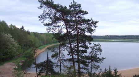 Zwierzyniec – Roztocze, Polska