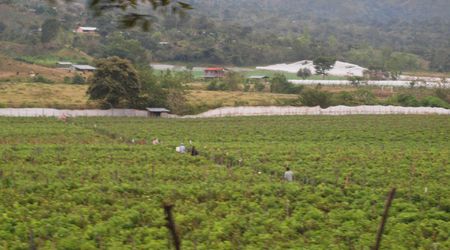 Jedziemy do Copan – Copán, Honduras