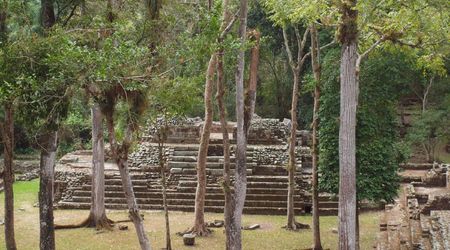 Ruiny Copan -  cmentarz – Copán, Honduras