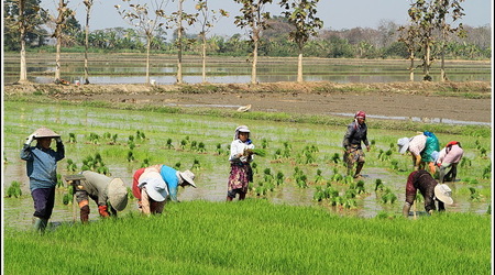 Chiang Rai – Tajlandia