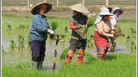 Chiang Rai – Tajlandia