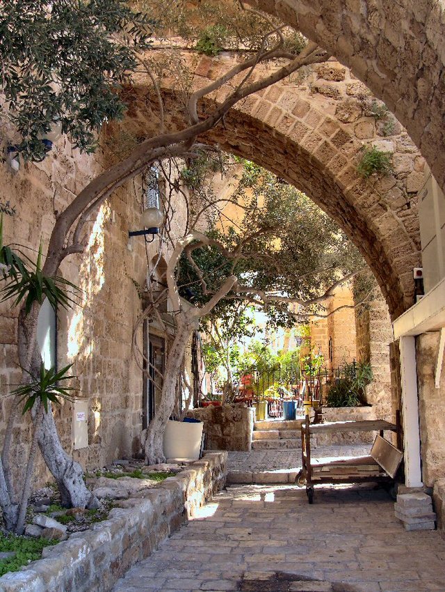 Jaffa 2012