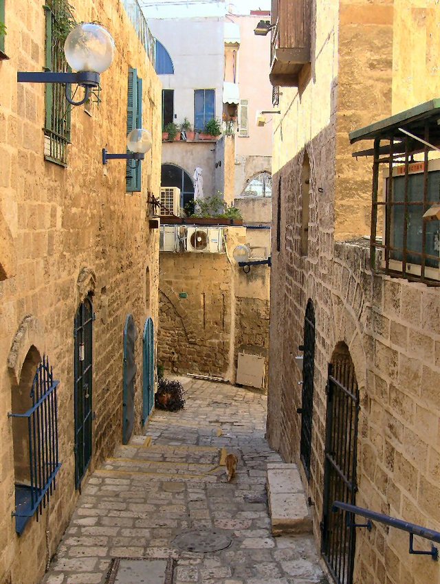 Jaffa 2012