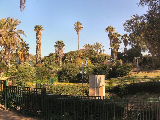 Jaffa 2012