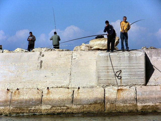 Jaffa 2012