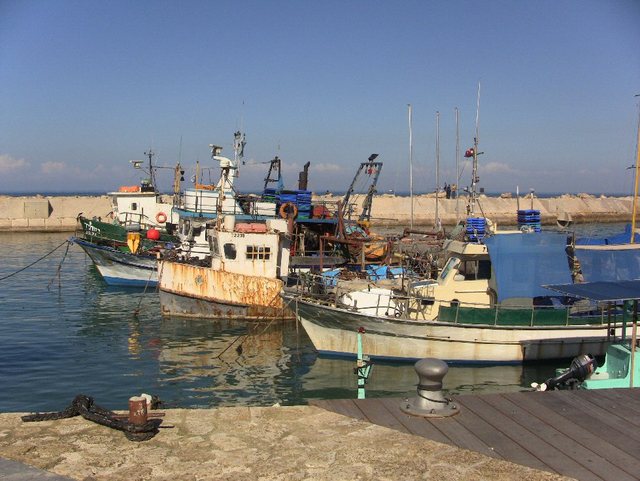 Jaffa 2012