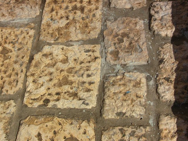 Jaffa 2012