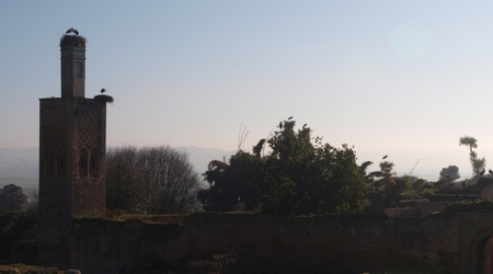 Rabat - Szalla – Maroko