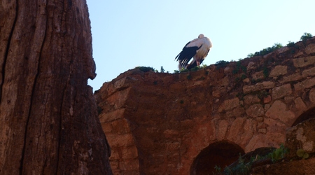 Rabat - Szalla – Maroko