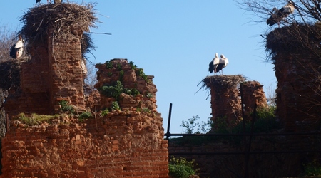 Rabat - Szalla – Maroko
