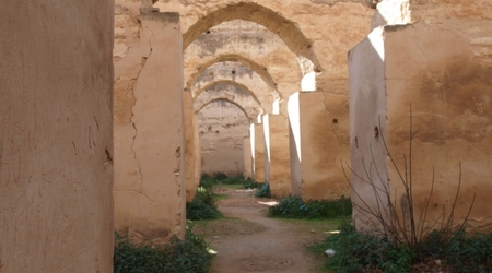Meknes - stajnia – Maroko
