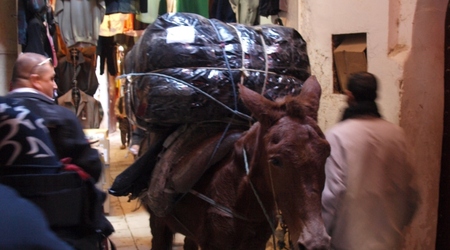 Fes - medina – Fès, Maroko