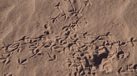 Ait Benhaddou - ktoś tu był przed nami! – Maroko