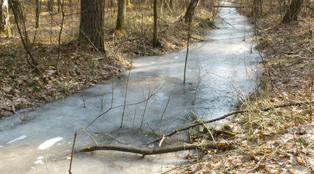 lodowy strumień – Izabelin C, Polska