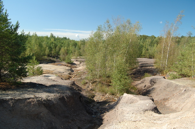 Geopark Łuk Mużakowa