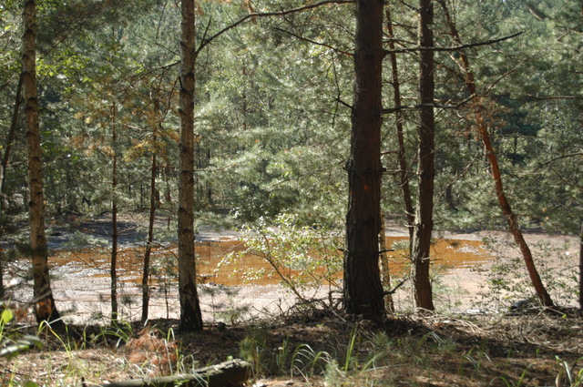 Geopark Łuk Mużakowa