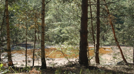 Geopark Łuk Mużakowa – Łęknica, Polska