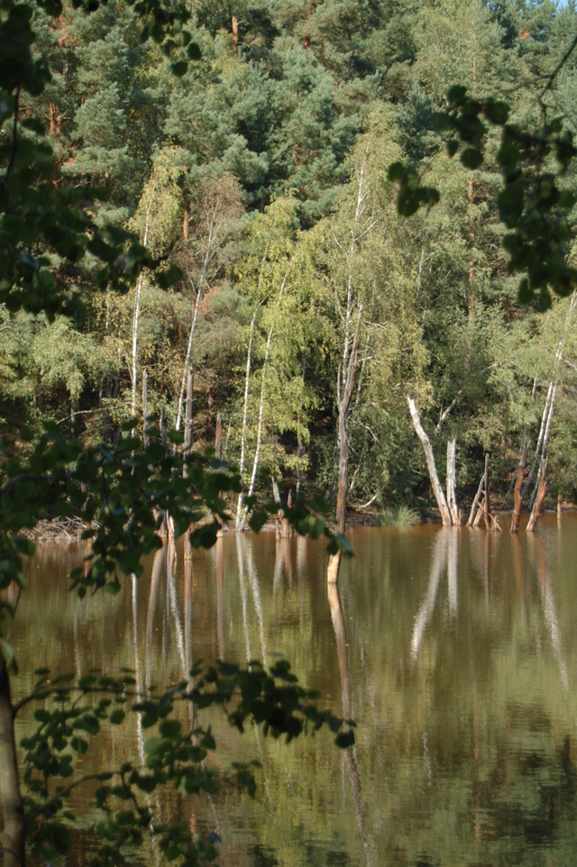 Geopark Łuk Mużakowa