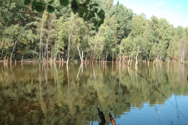 Geopark Łuk Mużakowa