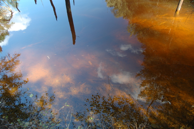 Geopark Łuk Mużakowa