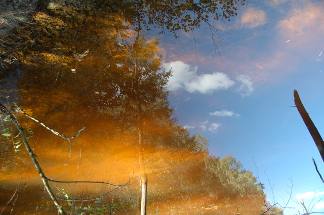 Geopark Łuk Mużakowa