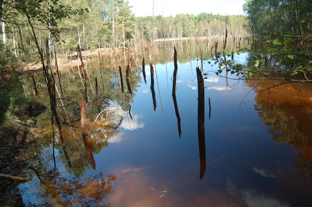 Geopark Łuk Mużakowa