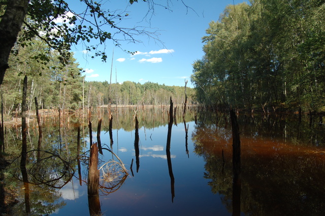 Geopark Łuk Mużakowa