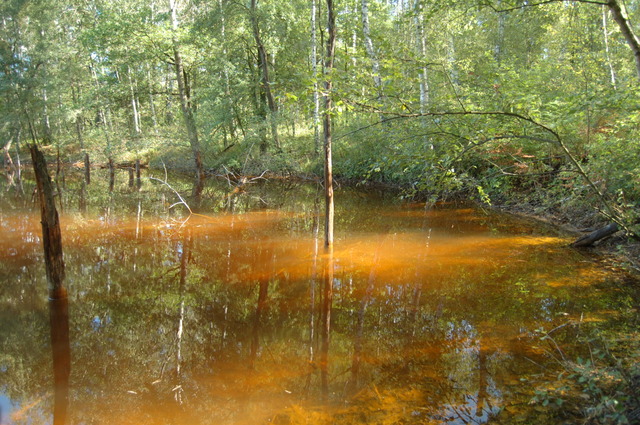Geopark Łuk Mużakowa