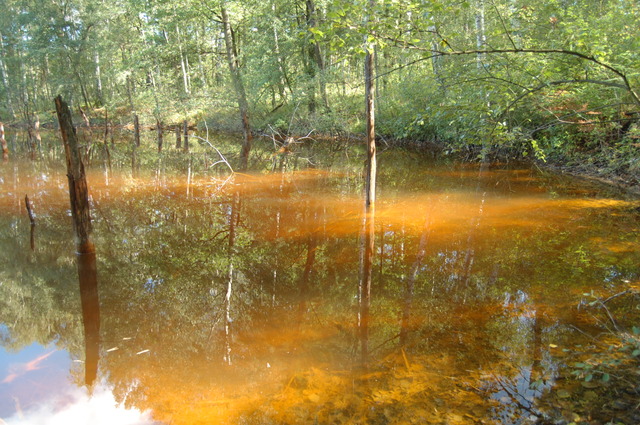Geopark Łuk Mużakowa