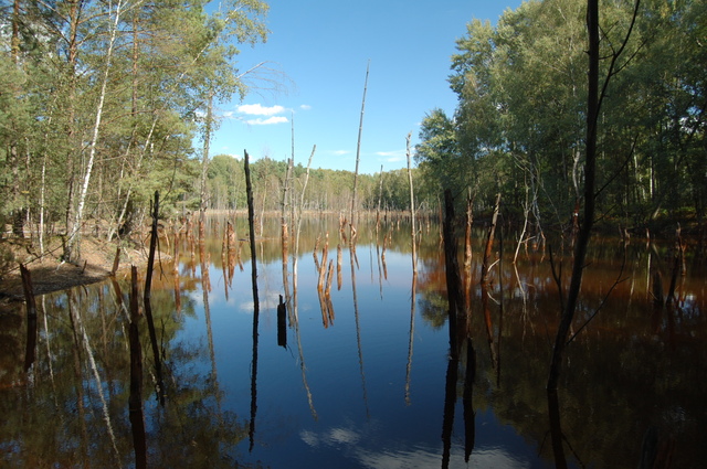 Geopark Łuk Mużakowa