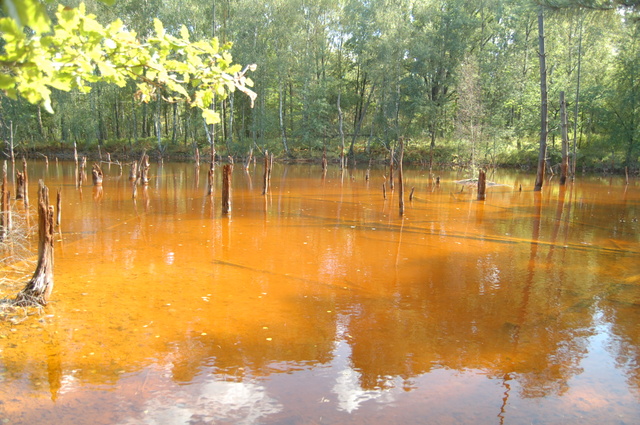 Geopark Łuk Mużakowa