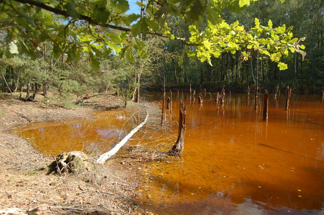 Geopark Łuk Mużakowa