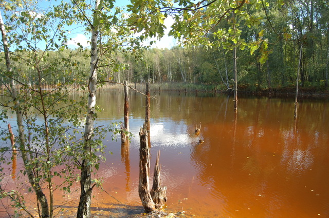 Geopark Łuk Mużakowa
