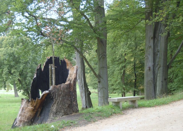 Park Murżakowski