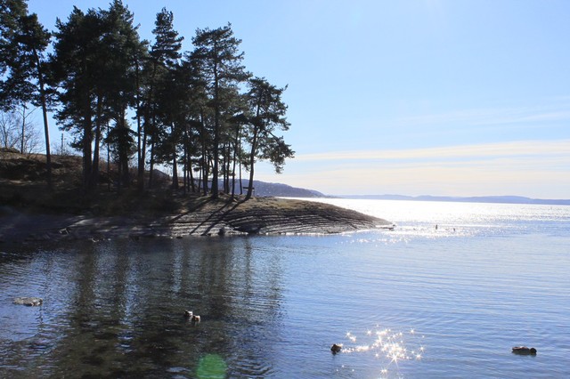 Oslo - Dzień III