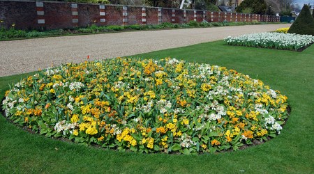 Hampton court palace 122 – Wielka Brytania