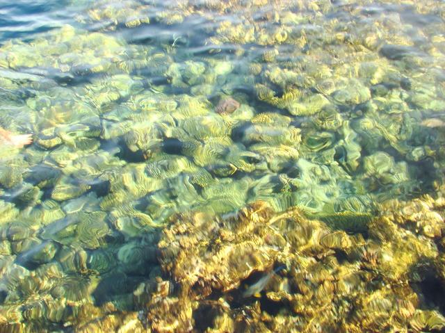 Dsc04791