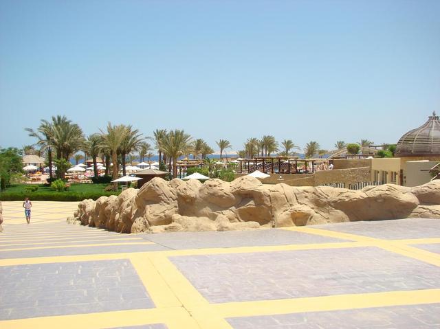 Dsc04864