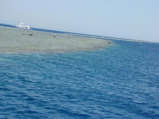 Dsc05526